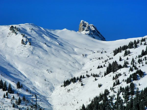 BSG Winter 2013 012.jpg