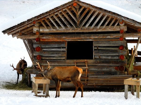 BSG Winter 2013 038.jpg