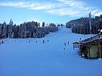 20130119_133135.jpg