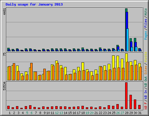 Daily usage for January 2013