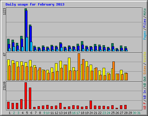 Daily usage for February 2013
