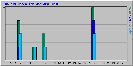 Hourly usage for January 2010