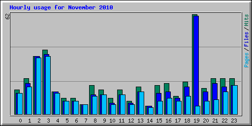 Hourly usage for November 2010