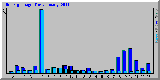 Hourly usage for January 2011
