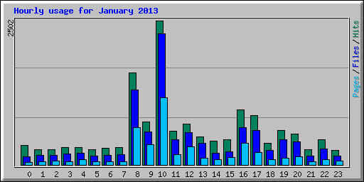 Hourly usage for January 2013