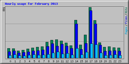 Hourly usage for February 2013