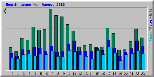 Hourly usage for August 2013